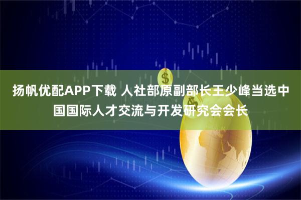 扬帆优配APP下载 人社部原副部长王少峰当选中国国际人才交流与开发研究会会长