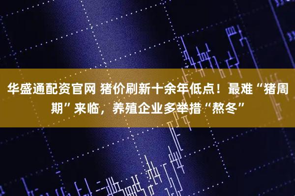 华盛通配资官网 猪价刷新十余年低点！最难“猪周期”来临，养殖企业多举措“熬冬”