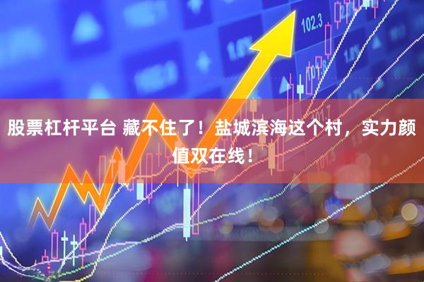 股票杠杆平台 藏不住了！盐城滨海这个村，实力颜值双在线！